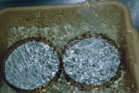 Wash beads two times